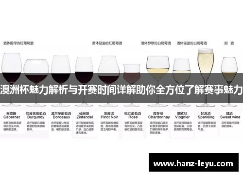 澳洲杯魅力解析与开赛时间详解助你全方位了解赛事魅力