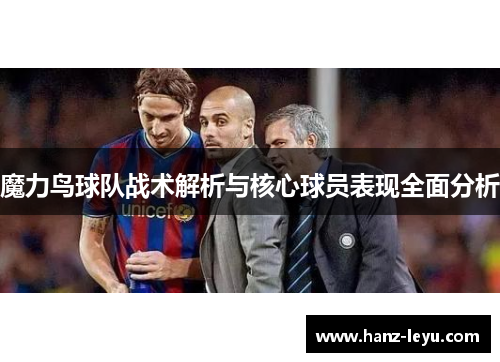 魔力鸟球队战术解析与核心球员表现全面分析