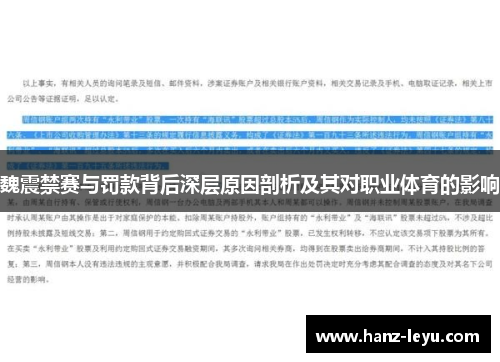 魏震禁赛与罚款背后深层原因剖析及其对职业体育的影响
