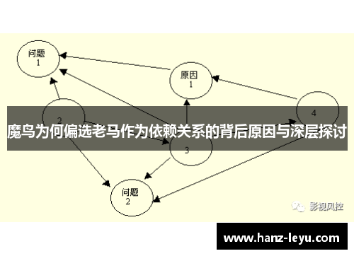 魔鸟为何偏选老马作为依赖关系的背后原因与深层探讨