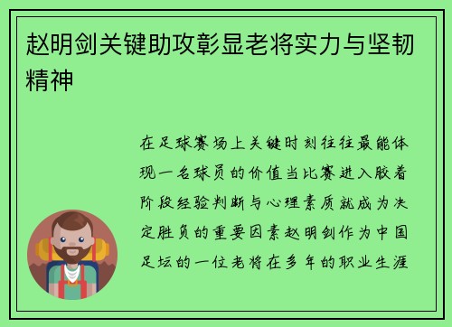 赵明剑关键助攻彰显老将实力与坚韧精神